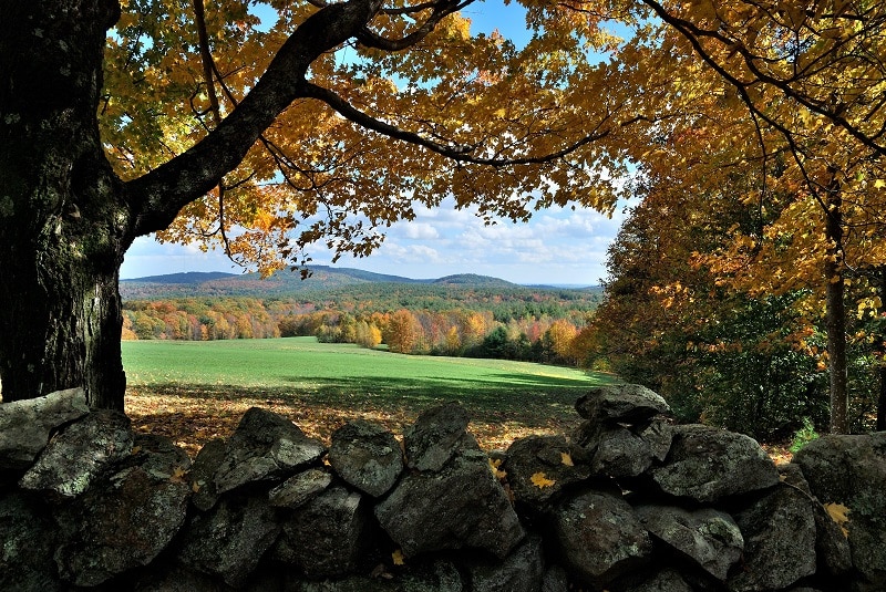 NH Moose Plates Land Conservation Leary Field & Forest Conservation